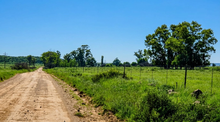 Commercial Property for Sale in Fauresmith Rural Free State